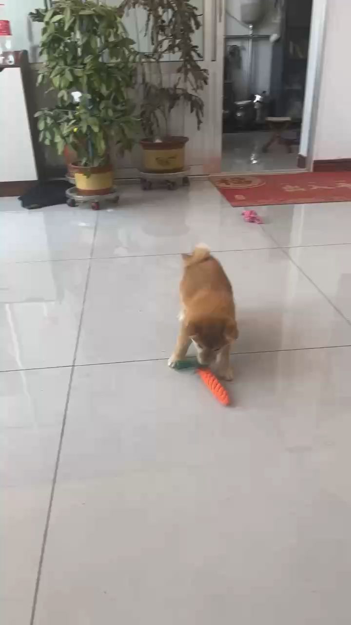 就睡觉睡觉睡觉截图