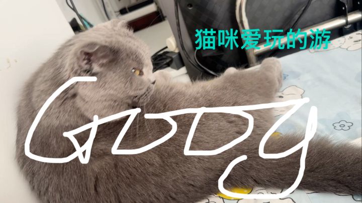 玩游戏该用什么姿势(´◔‸◔`)截图