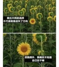 什么时候Boss流程能更上一层楼（举例篇）