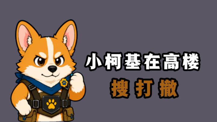 小小柯基在高楼搜打撤，有意思❗截图