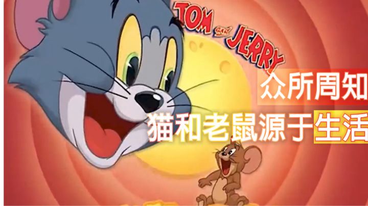 【猫和老鼠：欢乐互动】众所周知，猫和老鼠源于生活#全民竞技场#截图