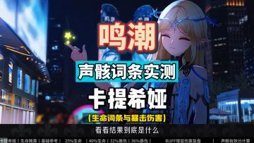 卡提希娅声骸词条实测，生命值与暴击伤害谁更有效，鸣潮2.4攻略