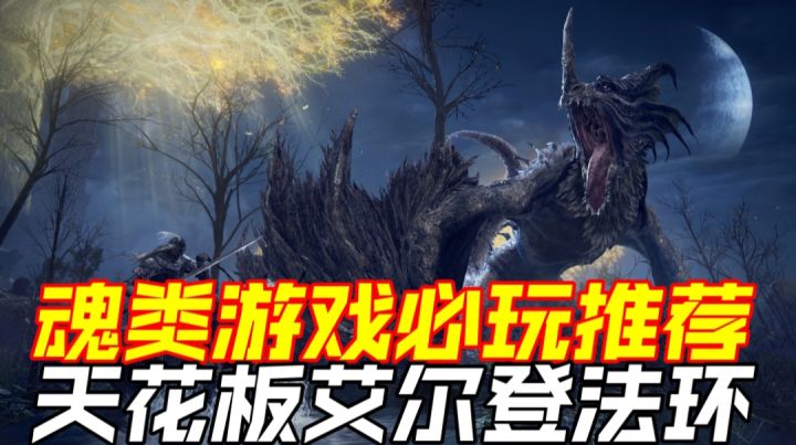 魂类游戏必玩推荐,天花板艾尔登法环截图