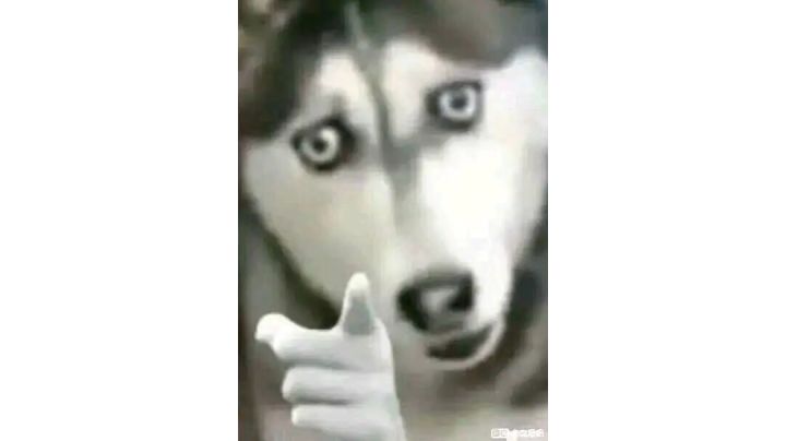 吊炸天模式真是考验手机截图