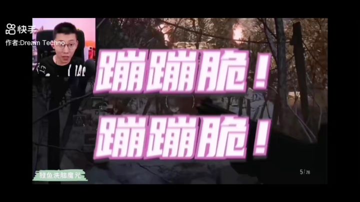 鲤鱼鬼畜视频截图
