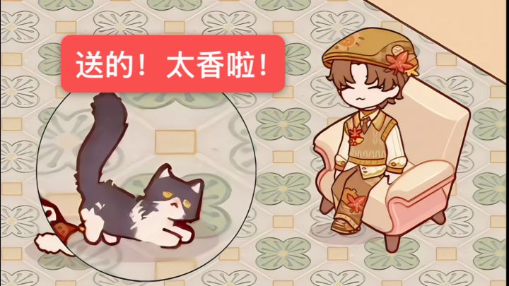 送的沙发好漂亮!还有猫猫皮肤!截图