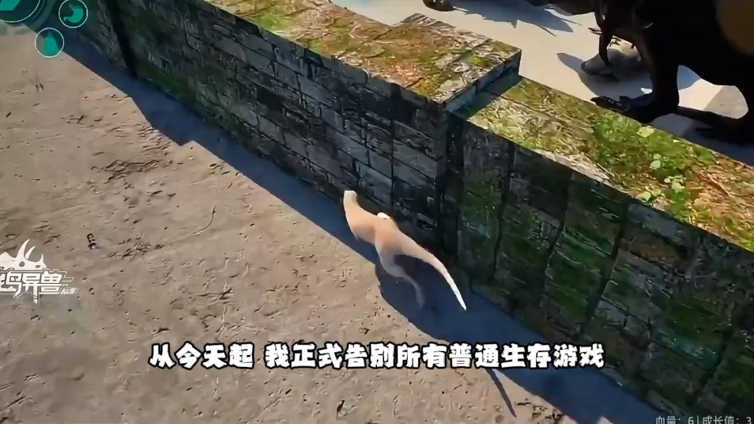 video-5807768