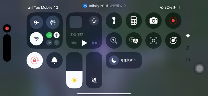 Bug截图