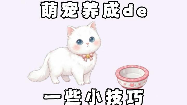 如何收养所有猫咪?小鱼干又该怎么去赚取呢?跟我一起去看看吧截图