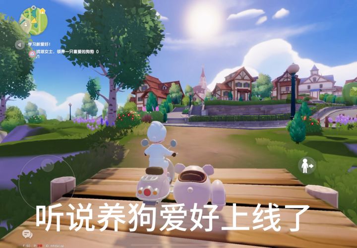 心动小镇|我和我的小狗第一次见面截图