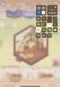 零氪党的新上初级套间浅抽