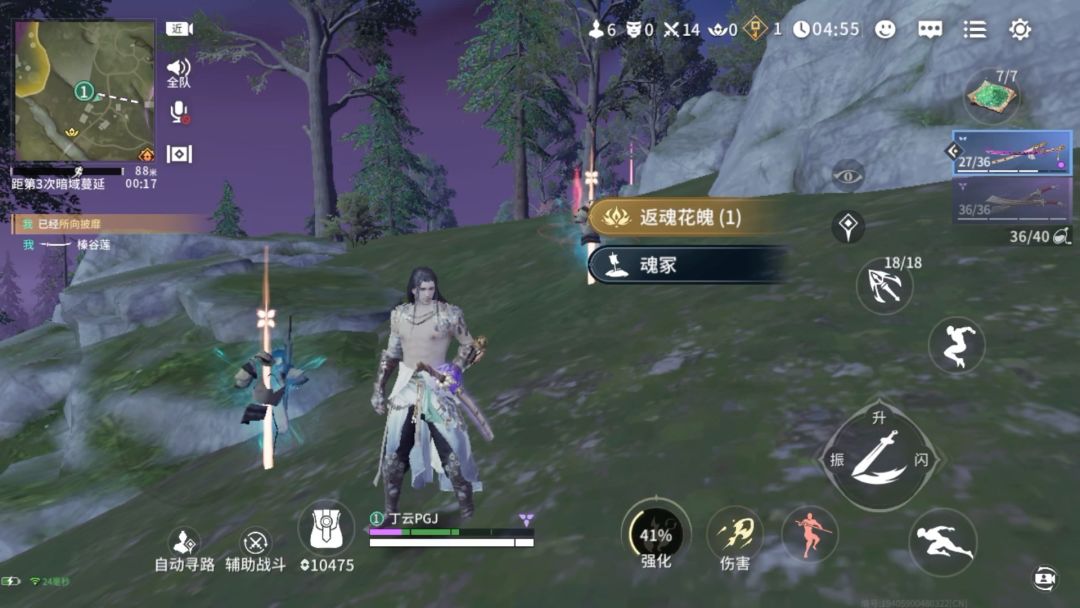 video-4708019