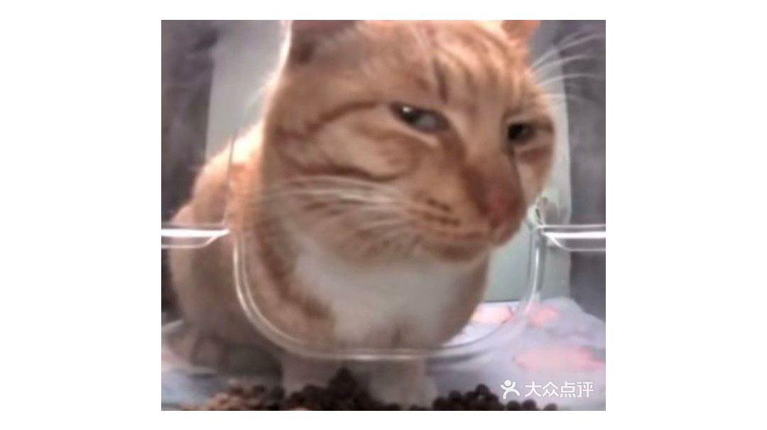 video-4055643