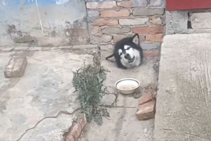 🤔截图
