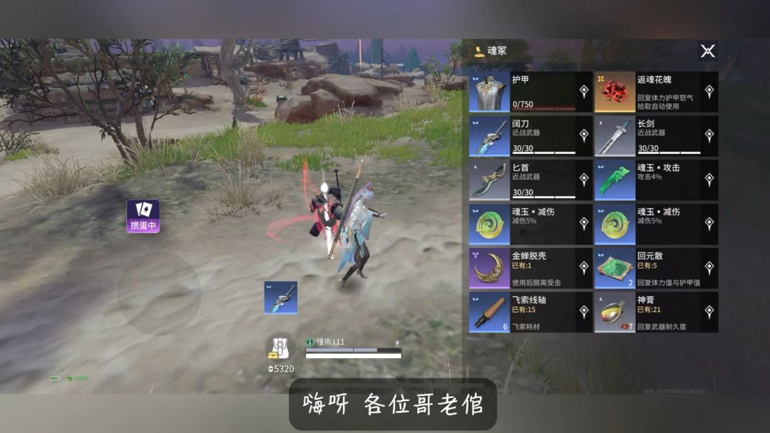 video-4811478