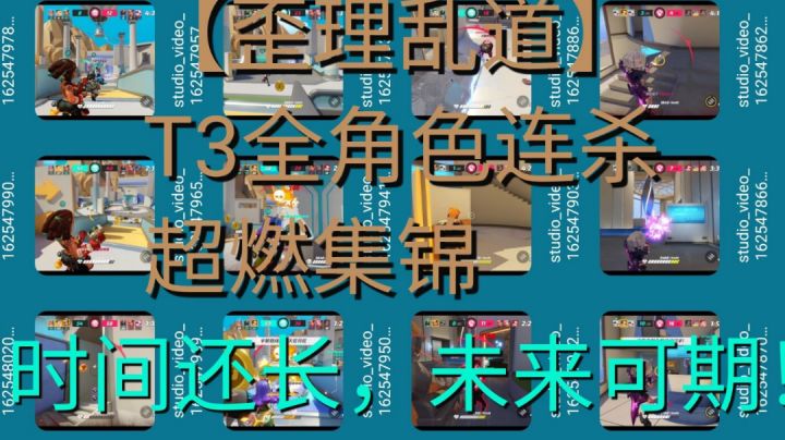 【歪理乱道】毛歪歪:大制作！T3全角色连杀！超燃！（时间还长，未来可期！）截图