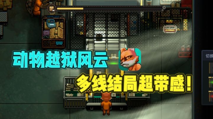 🔥动物版越狱风云，玩起来超级带感❗截图
