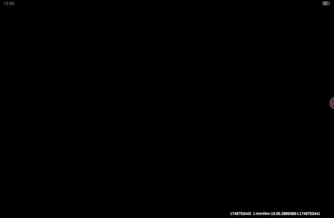 video-4982813
