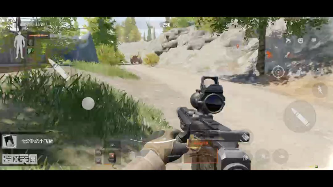 video-4288765