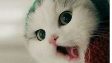 游戏视频～上仙界一段时间了