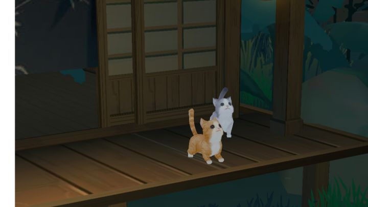 猫咪太可爱了叭!!!!!!截图