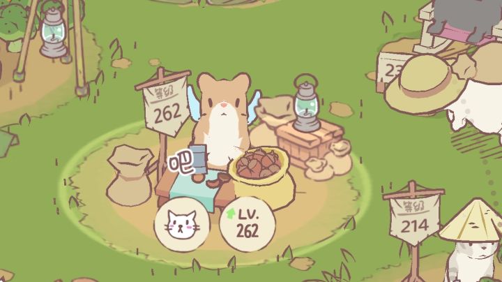 穿小翅膀的猫猫会飞飞哦！！截图