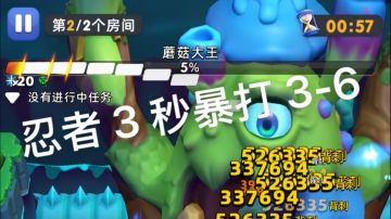 【3-6】忍者小冰枪 3 秒速通