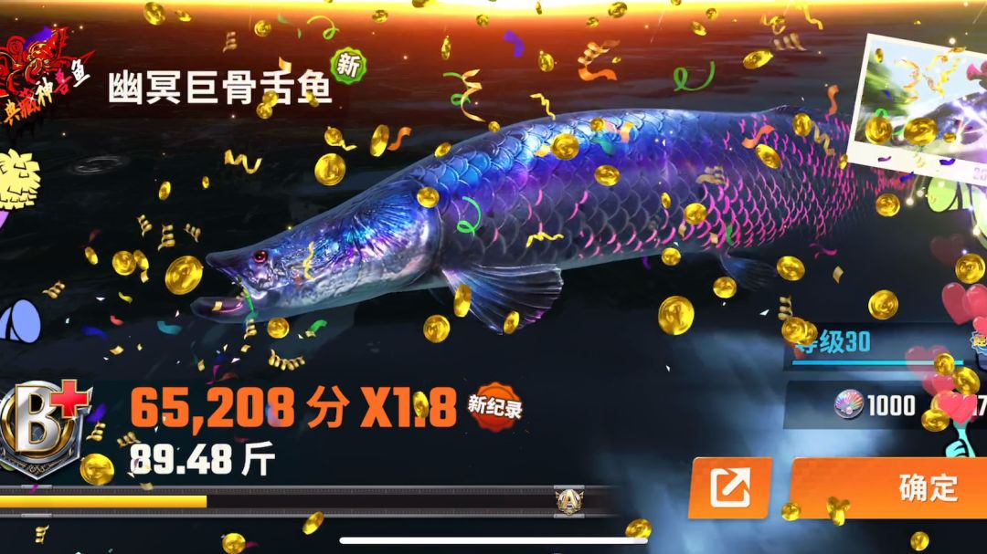 video-4082321