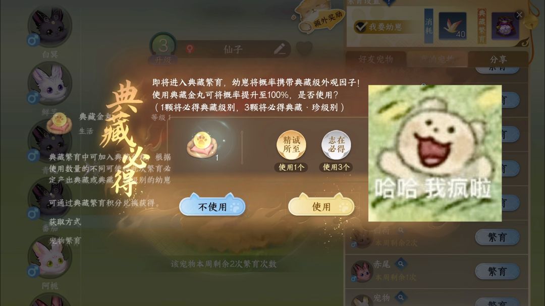 video-4869881