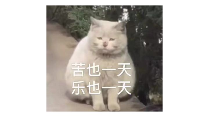 好难啊。不会变招截图