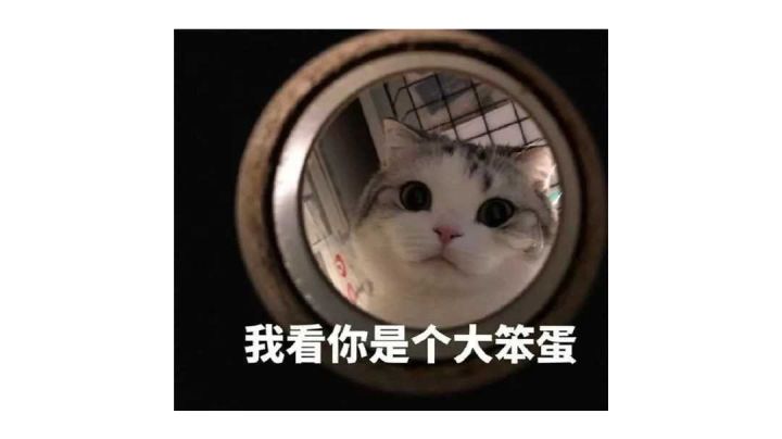 龙有点强啊,随便组个都能打白雪公主截图
