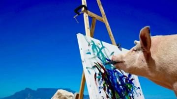 新萌的毒音🤔？鸡汤来咯～！