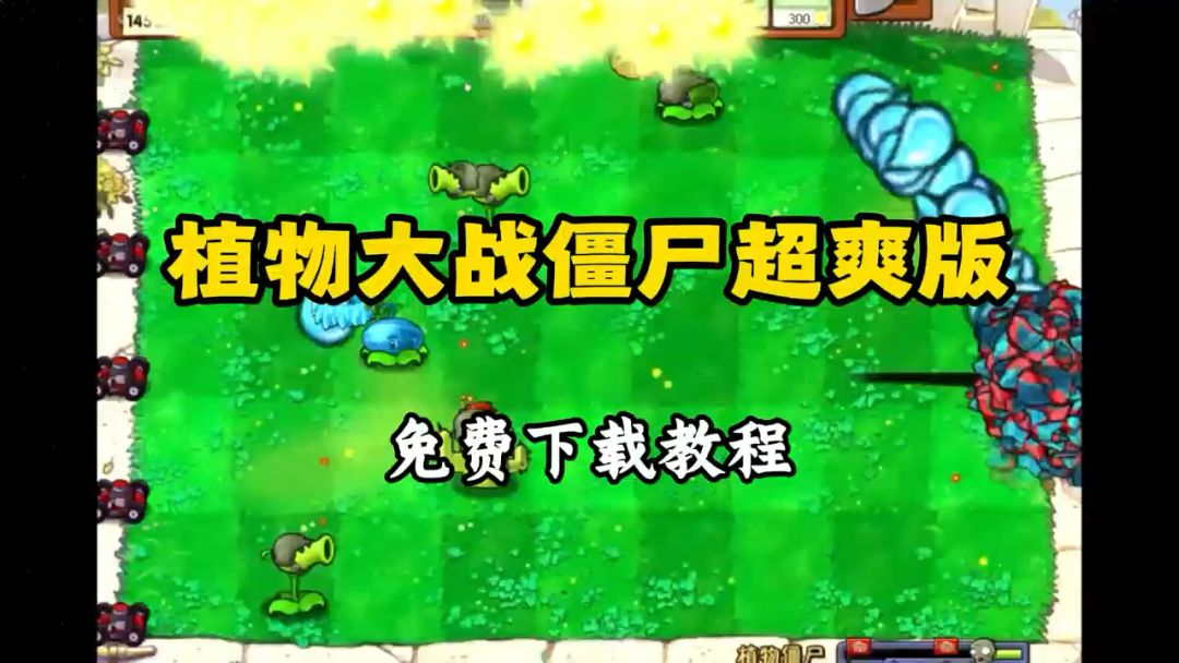 video-5559334