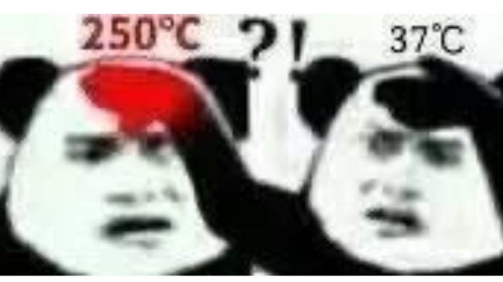 建议友友们不要学习笨比截图