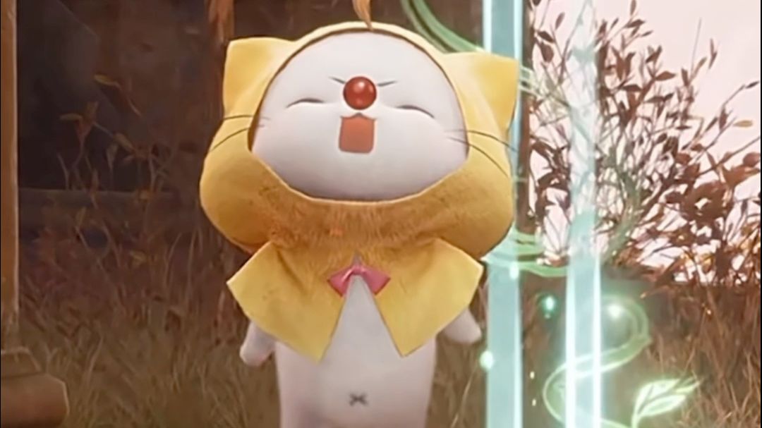 video-5555242