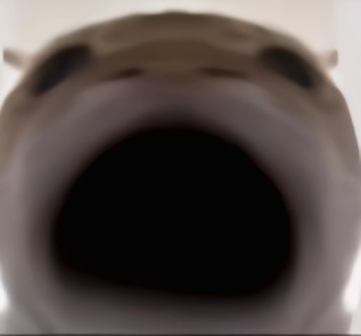 特效卡成PPT不过我是真喜欢特效截图