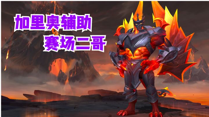 加里奥辅助赛场二哥【有手就行】#攻略大师#截图