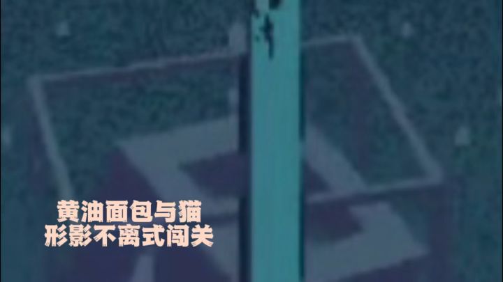 黄油吐司搭档与猫截图