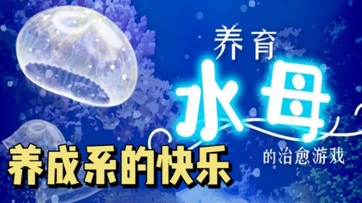 想要云养水母的小伙伴快来试试吧！＃萌宠在哪里＃截图