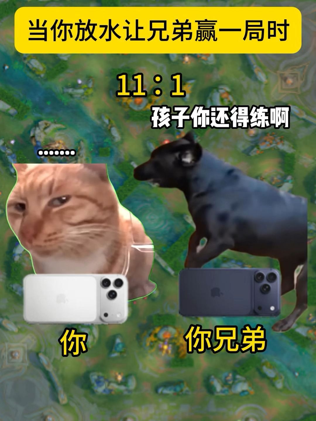 video-5306402
