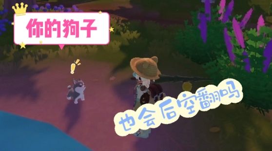 狗狗还会后空翻？截图