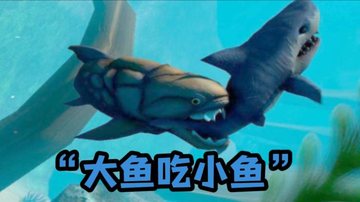 开局一粒鱼卵,进化成海中霸主❗截图