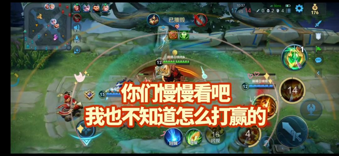 video-4180628