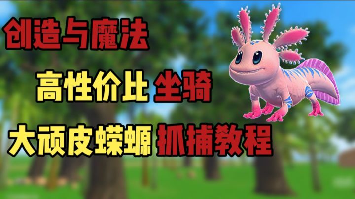 高性价比?水陆两栖?截图