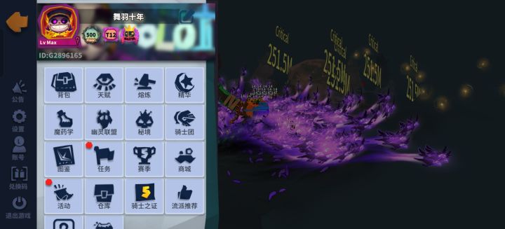 竞技PK输出两亿截图