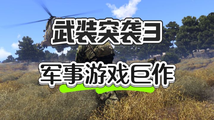 军事游戏巨作——武装突袭3截图