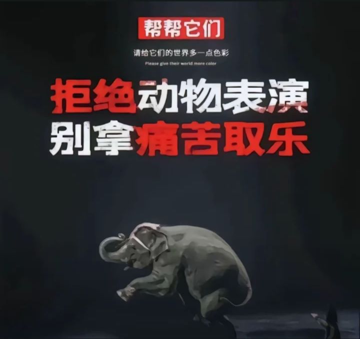 格洛克21伤害测试截图