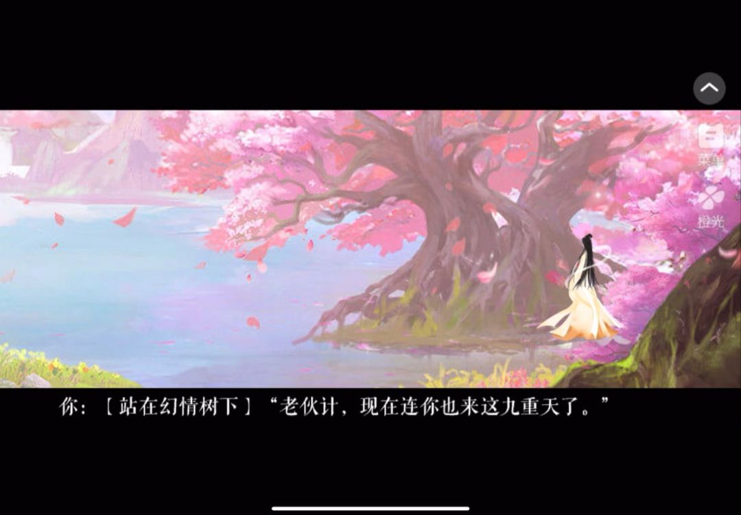 video-5080678