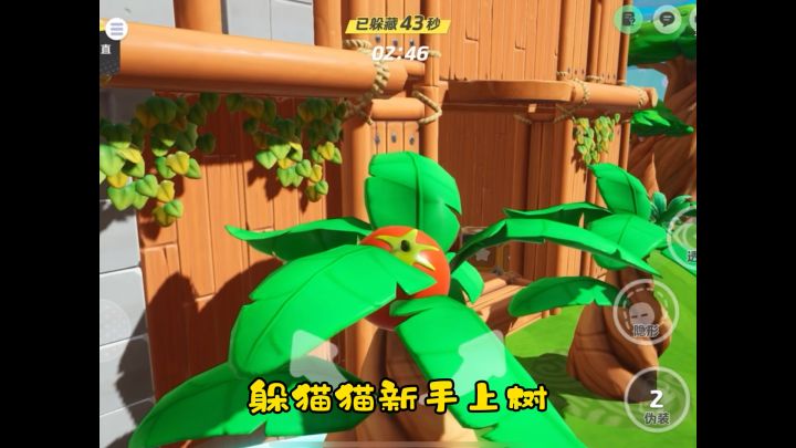 躲猫猫新手上树～截图