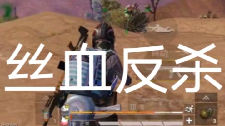 吃鸡简简单单截图